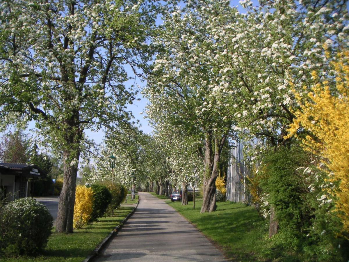 Ferien-Garconniere Hemetsberger Apartment Weyregg Luaran gambar